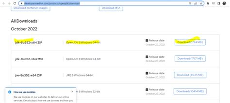 How to Use Java OpenJDK 8 的图像结果