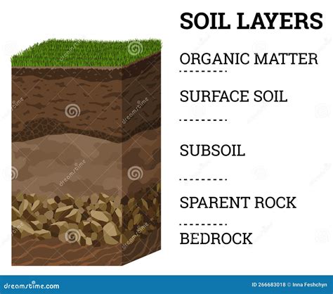 Soil Layers. Surface Horizons Upper Layer of Earth Structure with ...
