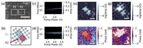 Coupled Nanomechanical Graphene Resonators: A Promising Platform for ...