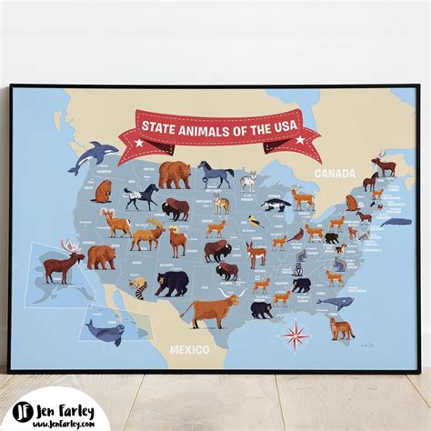 Common American Animals