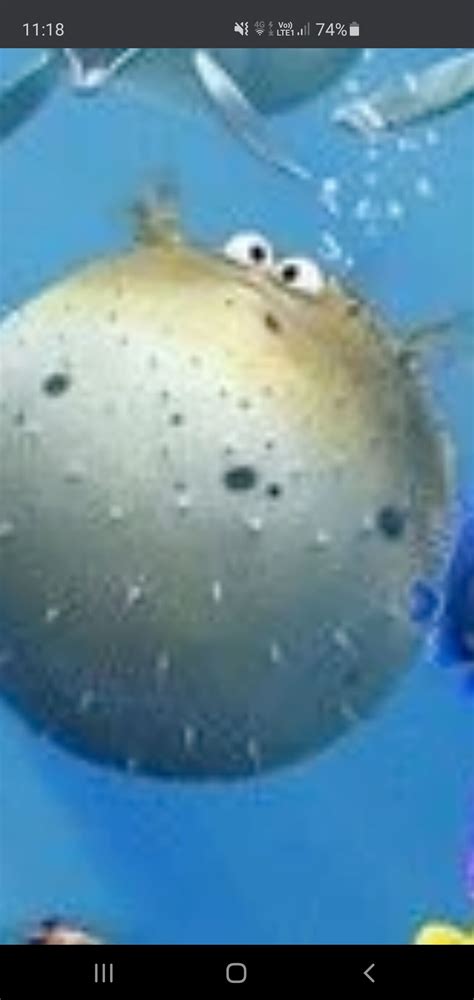 Bloat Finding Nemo Quotes