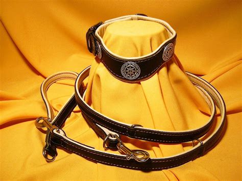 Das anatomische Hundehalsband und weitere Produkte zur Erhaltung von ...