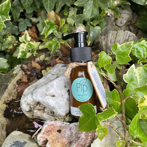 Image result for PIP Contact Number