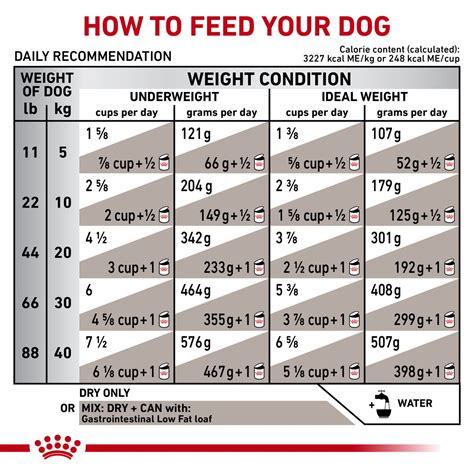 Dog Wet Food Feeding Guide - Free Printable Food Charts
