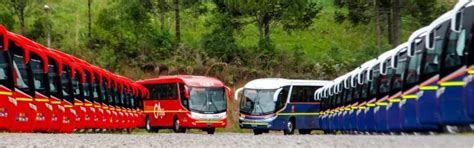 Marcopolo delivers 300 buses to the mining segment in Chile