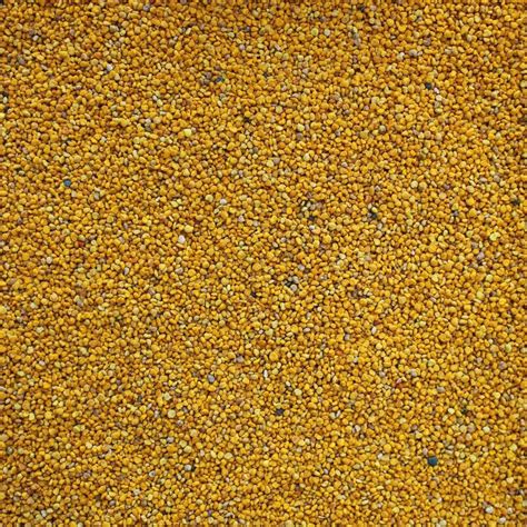 BEE POLLEN, Spanish - Om Foods | Organic Matters