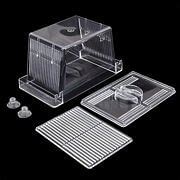 Buy Transparent Acrylic Fish Breeding Isolation Box Aquarium Hatchery ...