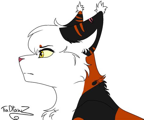 Mapleshade blinking| Warrior Cats GIF by TiaDrawZ on DeviantArt