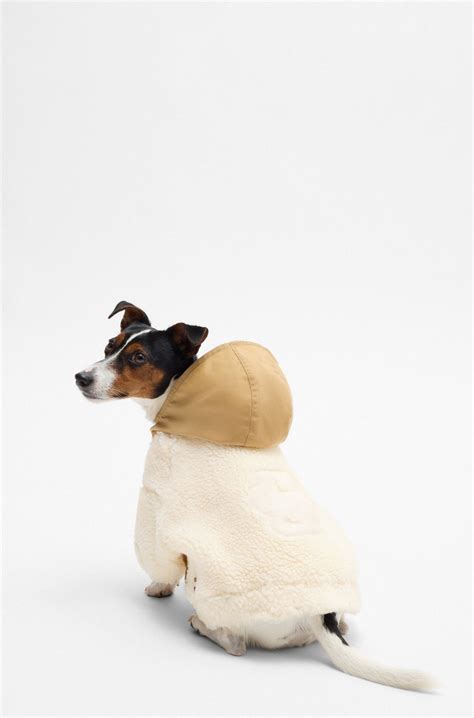 BOSS - Dog fleece jacket with Double B monogram - Beige