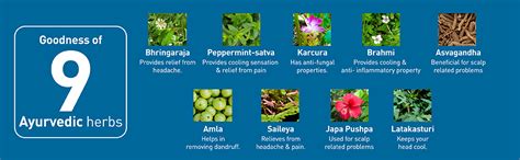 Buy Navratna Gold Ayurvedic Oil |Non Sticky and Non Greasy |Mild ...