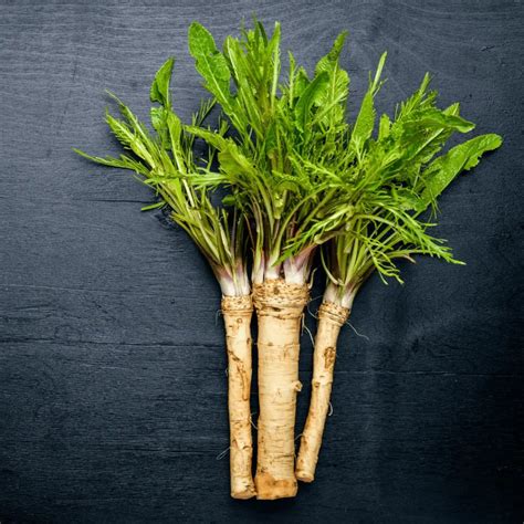 How To Grow And Harvest Horseradish In Pots - Homegrown Herb Garden