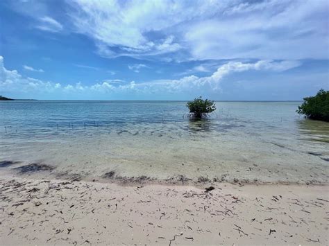 Bahamas Real Estate on Bimini For Sale - ID 47673