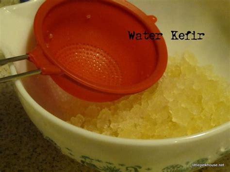 How to Make Probiotic Water Kefir Soda (step by step) | Recipe | Kefir ...