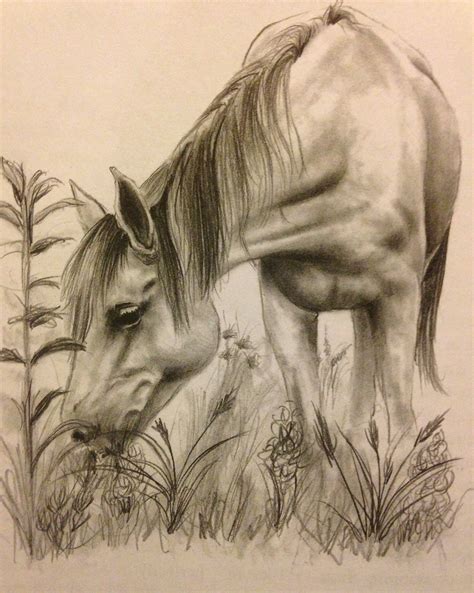 Horse Color Pencil Drawing