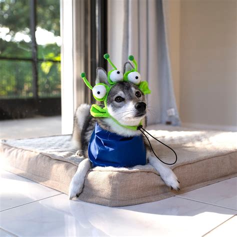 Image result for Alien Dog Costume