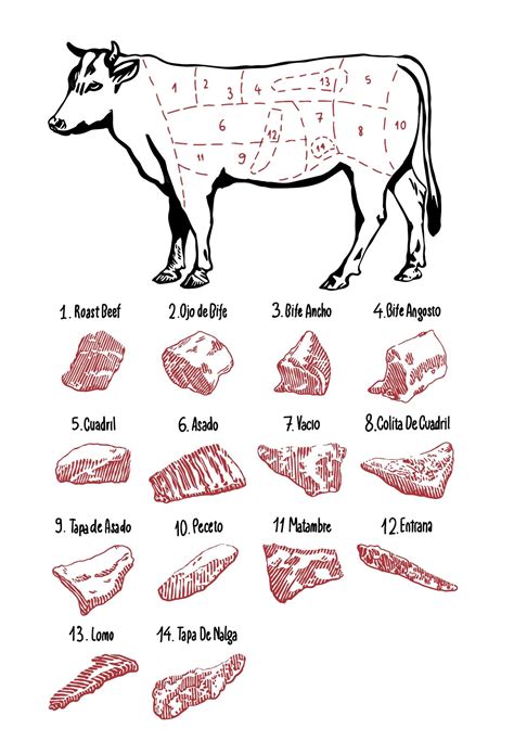 Premium Vector | Set of spanish beef hand drawn sketch vector sketch ...