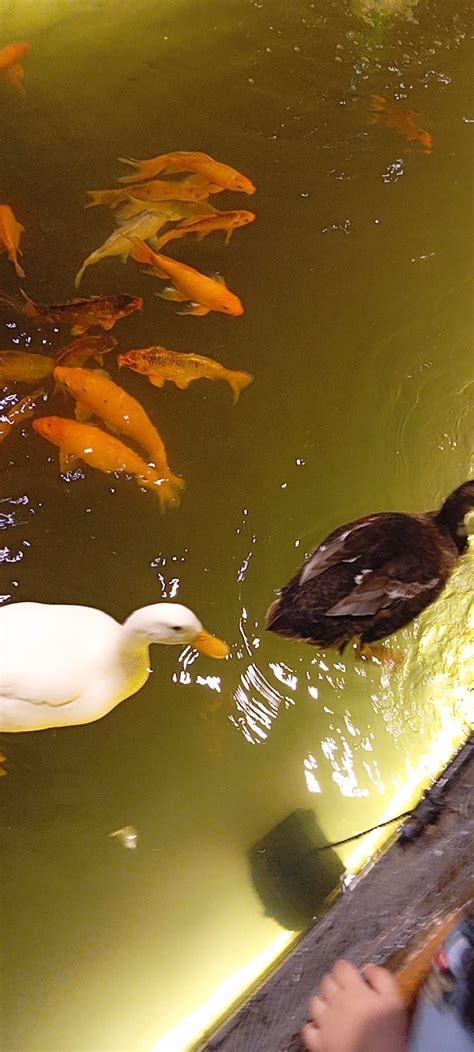 Gala time in BOULEVARD RIYADH CITY , Al Sharq, Riyadh, 25 August 2024 ...