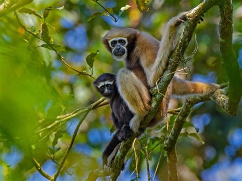 Travel | Nature inFocus