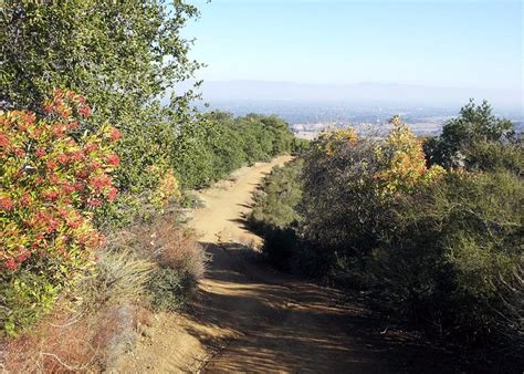 Los Altos Hills Tourism (2023): Best of Los Altos Hills, CA - Tripadvisor