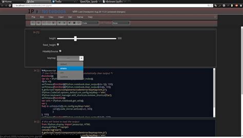 Python Notebook UI 的图像结果