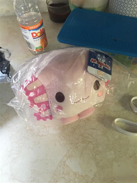 Image result for Script Pet Simulator X Axolots