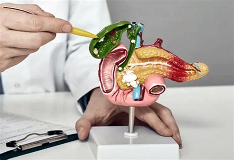 Image result for How to Remove Gallbladder