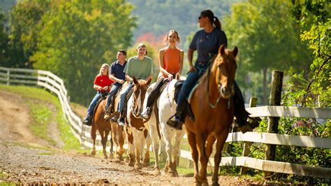 Horseback Riding Tours in Sevierville, TN - Five Oaks Riding Stables