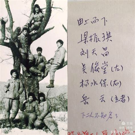 【志愿军】中国人民志愿军12军：不屈的部队，可敬的父母（抗美援朝图片展第八期）-银河悦读