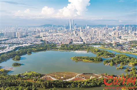 广州海珠湿地公园植物昆虫鸟类数量大增