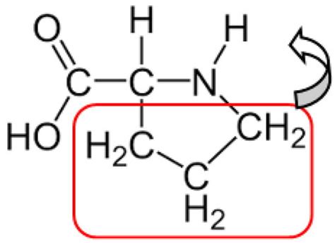 Symmetry | Special Issue : Fibonacci and Lucas Numbers and the Golden ...