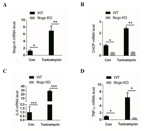 Nogo-A Is Critical for Pro-Inflammatory Gene Regulation in Myocytes and ...