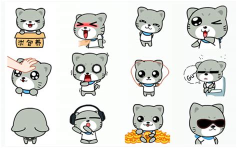 宝宝猫表情包下载-宝宝猫动态原图QQ表情包下载-当易网
