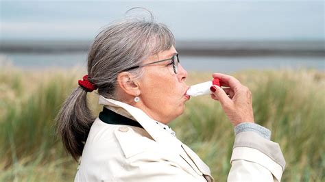 Image result for Dry Powder Inhaler Exploded-View