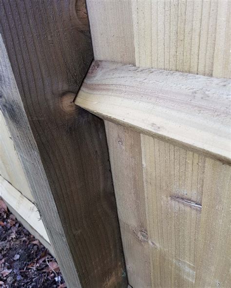 Image result for Patterned Post