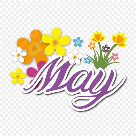 May Flower Clipart Transparent Background, Flower Decoration White ...