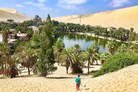 2023 Ica City Tour + Buggies & Sandboarding