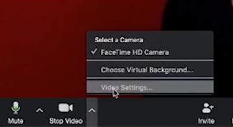 Image result for Greenscreen Problems with Zoom