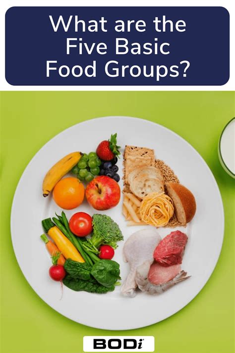 Image result for Five Basic Food Groups