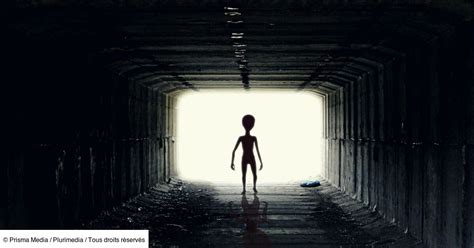 Image result for Alien Theory Les Meilleurs Épisodes