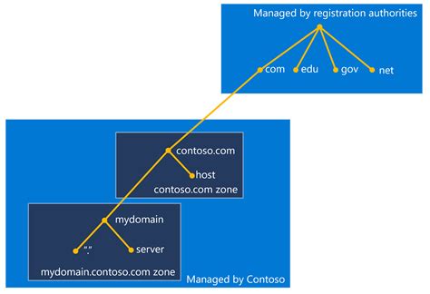 Image result for DNS Server Assignment