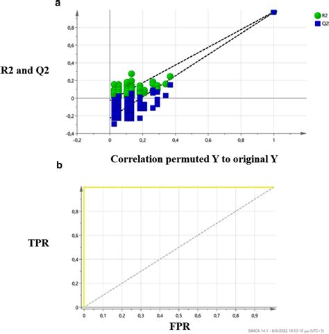 Permutation T-Test Example 的图像结果