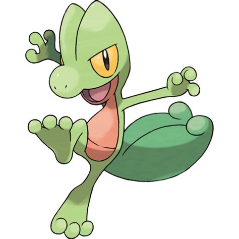 Image result for Final Evolution of Treecko