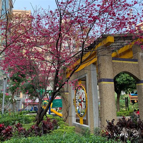 YONGJING PARK (2026) All You Need to Know BEFORE You Go (with Photos ...