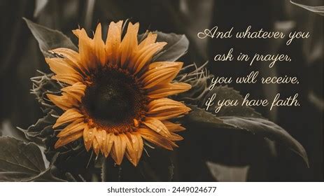 Image result for Desktop Computer HD