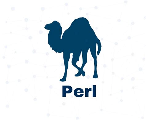 Image result for Perl Programming Languages HD Images