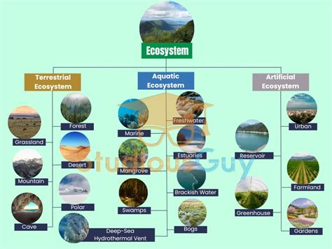 Define Ecosystem 的图像结果