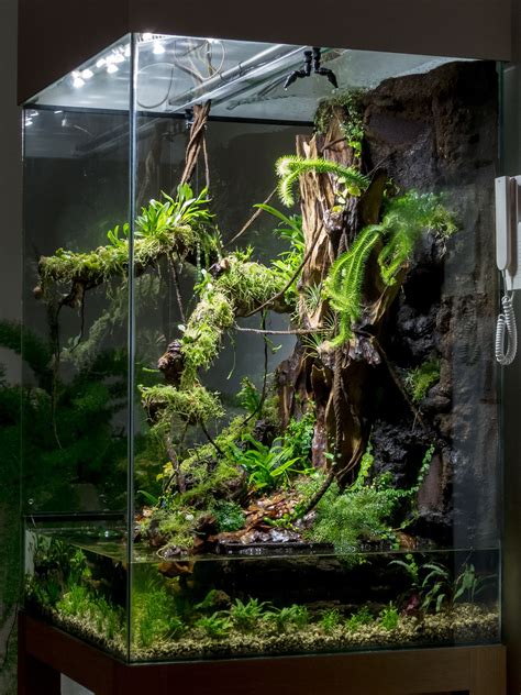IMG_9241 | Water terrarium, Planted aquarium, Aquarium design
