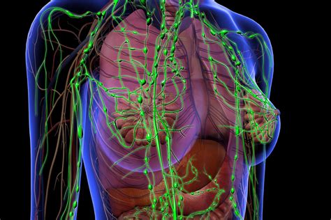 Why Remove Swollen Lymph Nodes