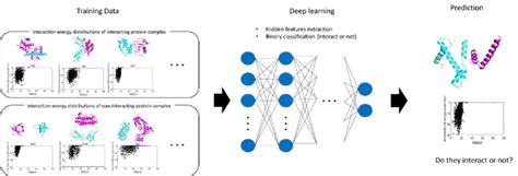 Image result for D/<Script