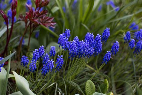 Image result for Spring Weather Meaning